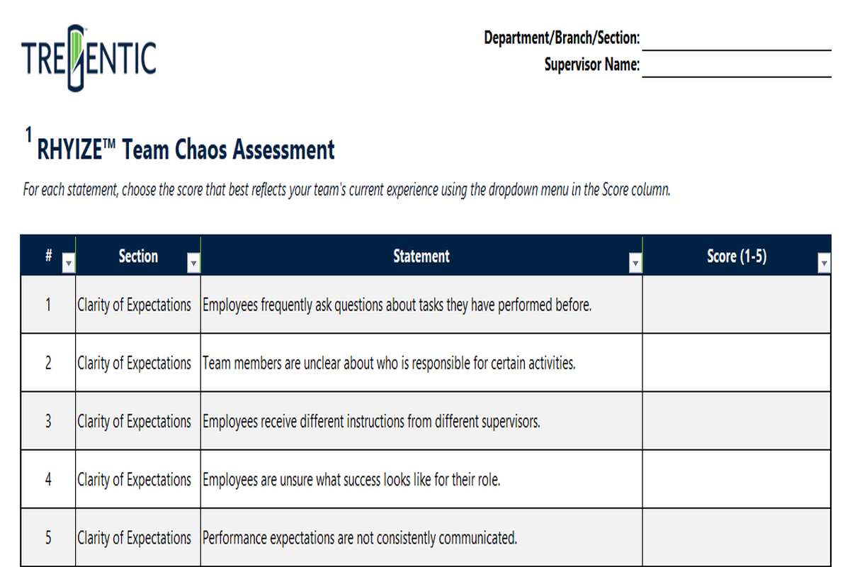 RHYIZE™ Team Chaos Assessment™